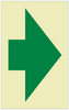 Photoluminescent Green Arrow Sign 5 x 8"