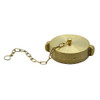 2.5" NST Thread (US) Brass FD Connection Cap