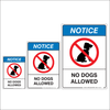 No Dogs Allowed Notice Signs