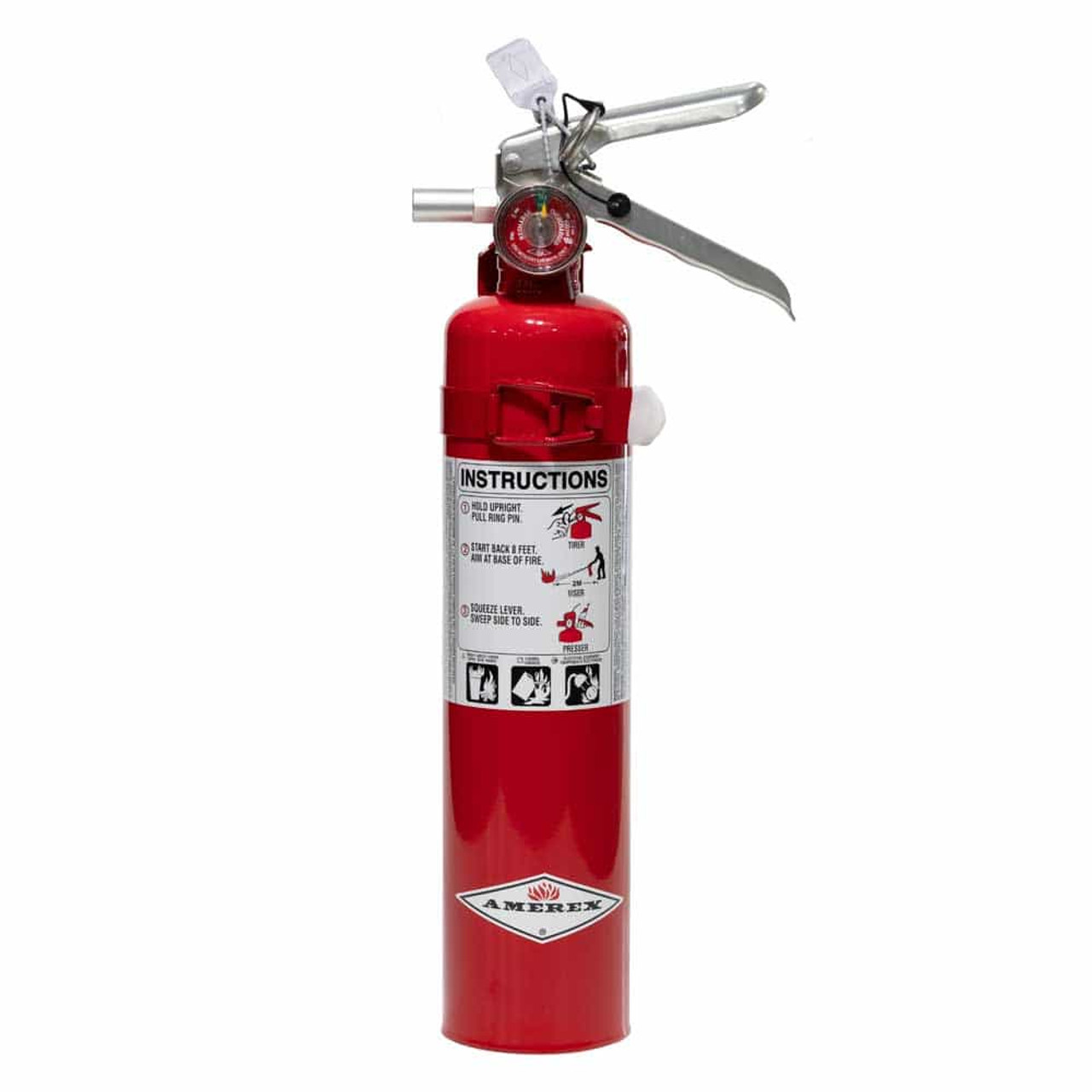 1A 10BC 2.5 lb Dry Chemical Fire Extinguisher