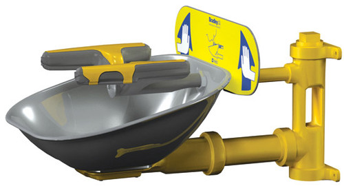 Wall-Mounted Eye/Face Wash Station, Stainless Steel Bowl