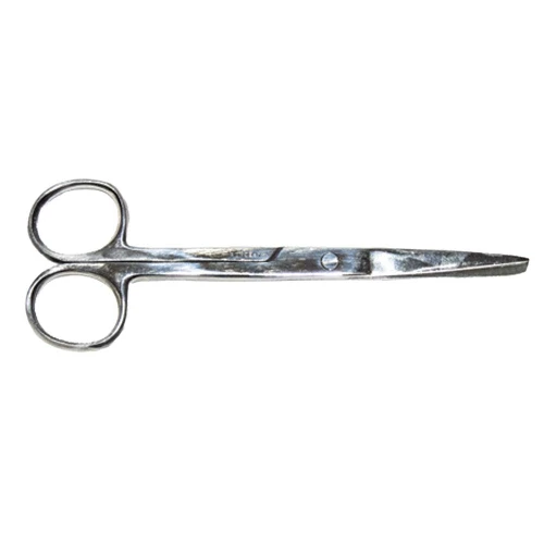 Stainless Steel Scissors