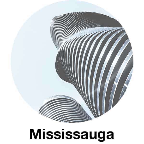 Mississauga Link