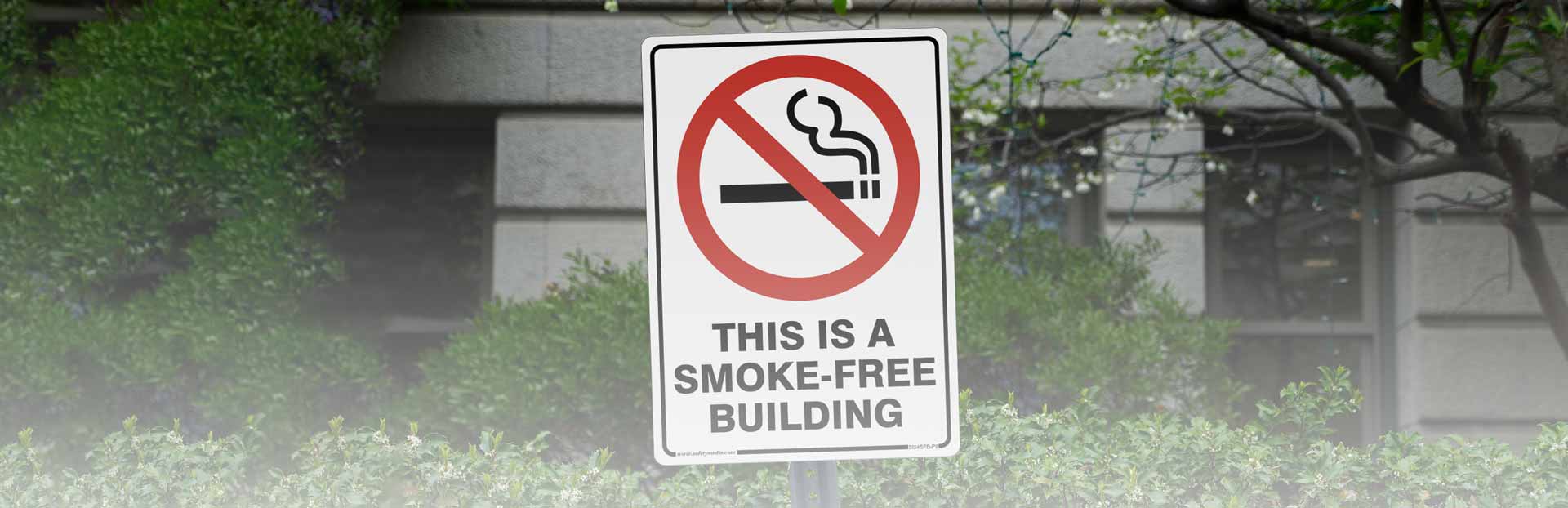 no-smoking-banner.jpg