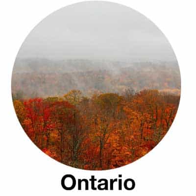 Ontario Fire Code Link