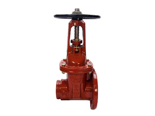 6" GRV X FLG OSY GATE VALVE