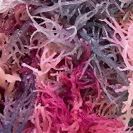 SEA MOSS WHIPPED SOAP