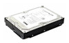 Dell 500GB SATA 7200RPM 16MB Cache 3.5 inch Hard Disk Drive with Tray