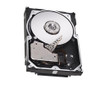 Dell 2TB SAS 12Gb/s 7200RPM Near Line Hot Plug 2.5 inch Hard Disk Drive