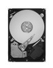 IBM 750GB SATA 3Gb/s 7200RPM 3.5 inch Hard Disk Drive