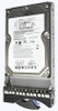 IBM 2TB SAS 6Gb/s 7200RPM 3.5 inch Hot Swap Hard Disk Drive with Tray