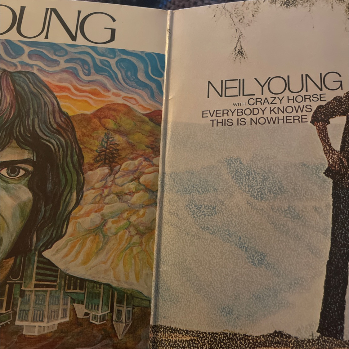 Neil Young: el Búfalo de Toronto y su guitarra