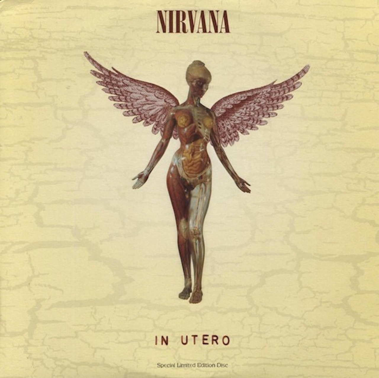 Nirvana - In Utero (1993 Special Limited Edition Disc on Clear