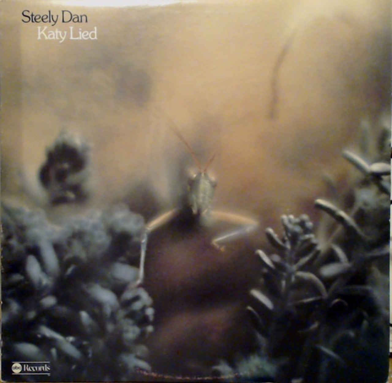 Steely Dan - Katy Lied (1975 EX/EX includes Insert) - The Record