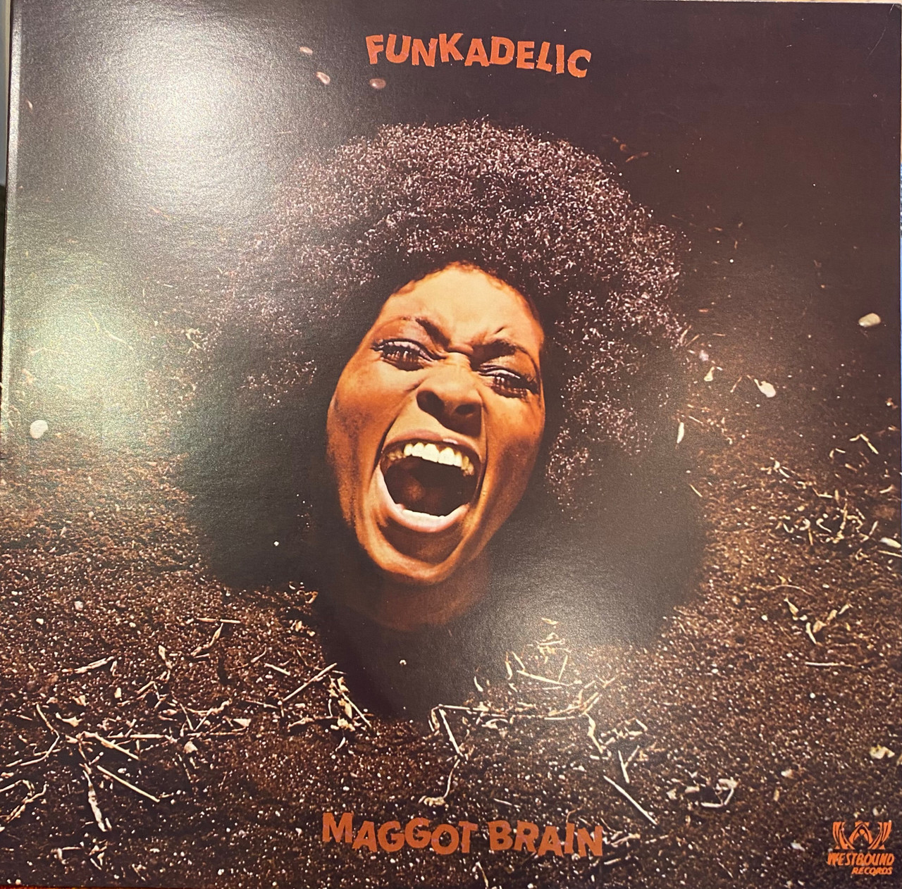 Funkadelic - Maggot Brain (2004 EU reissue, NM/EX) - The Record Centre