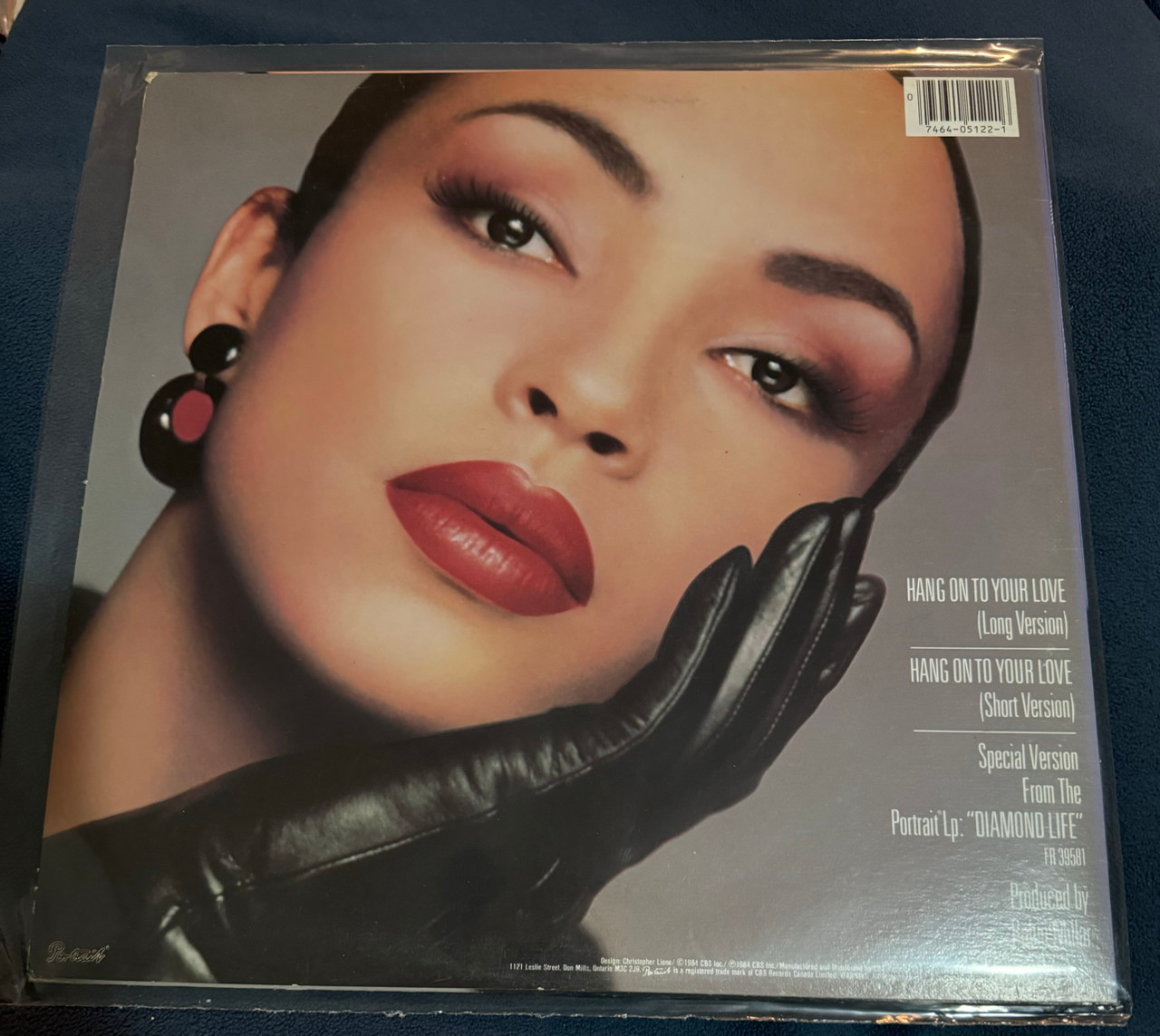 Sade - Hang On To Your Love (12