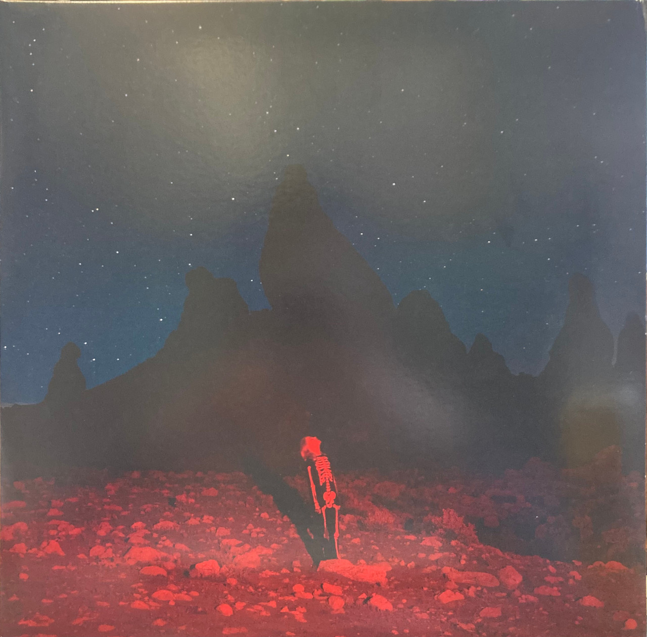 Phoebe Bridgers /Punisher 日本未流通限定カラー　未開封 Phoebe Bridgers - Punisher (2020 US club edition, numbered 204/500