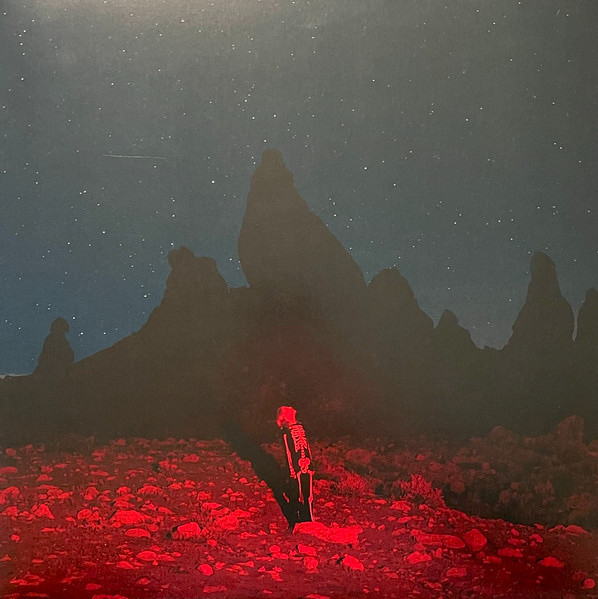 Phoebe Bridgers /Punisher 日本未流通限定カラー　未開封 Phoebe Bridgers - Punisher (Limited Gold Vinyl - NM/EX) - The