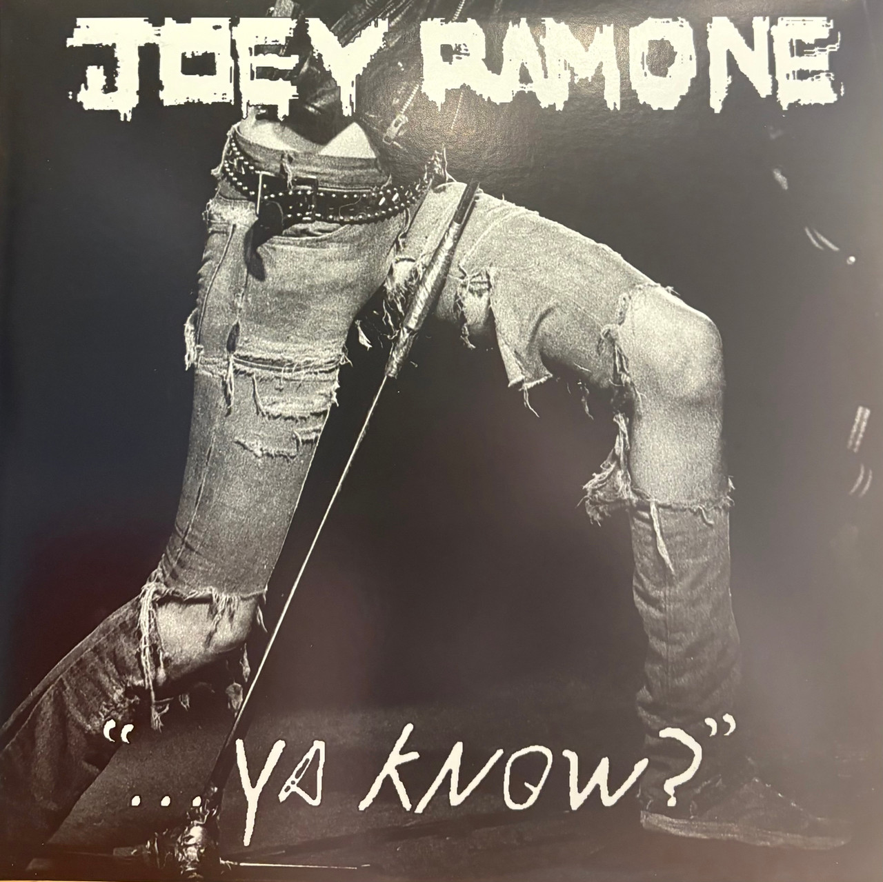 「…ya know?」Joey Ramone レコード Joey Ramone -  Ya Know? (2012 US, 2XLP, Gatefold, OIS, EX/EX