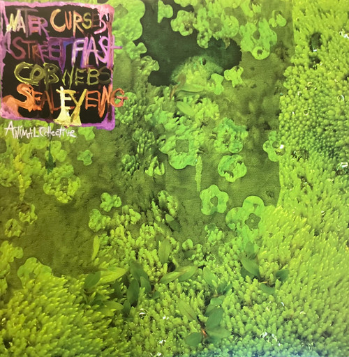 Animal Collective - Water Curses (NM-/EX) (2008, US, 12”/33RPM E.P.)