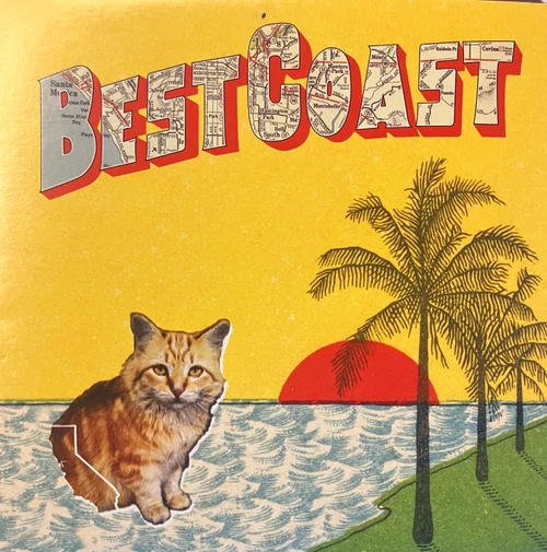 Best Coast - Crazy For You (NM-/EX) (2010, US, Black Vinyl)