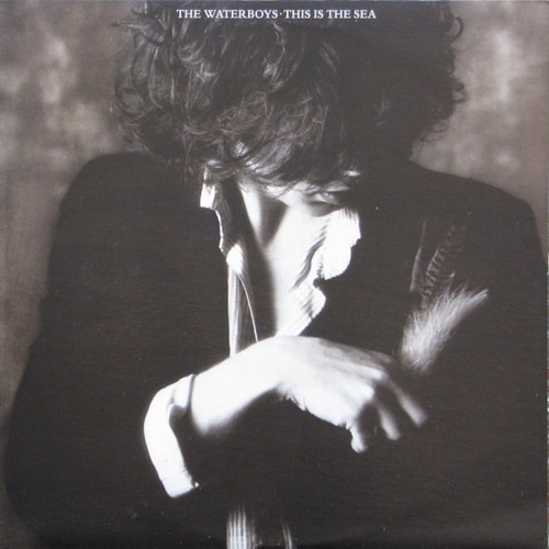 The Waterboys - This Is The Sea (VG+/VG)