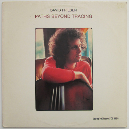 David Friesen ‎– Paths Beyond Tracing