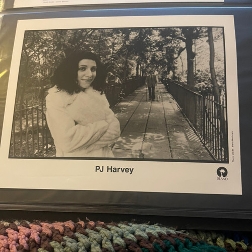 PJ Harvey - Is This  Desire? - Record Label Promo Photo and Bio Sheet