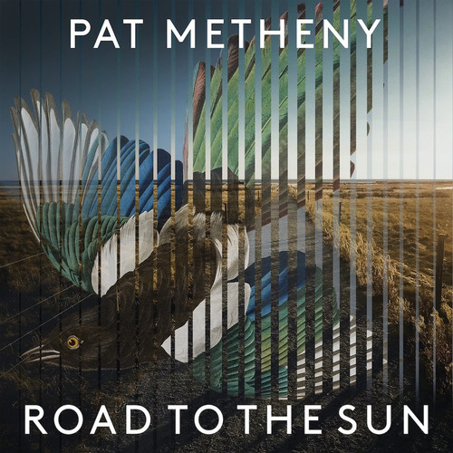 Pat Methany - Road To The Sun