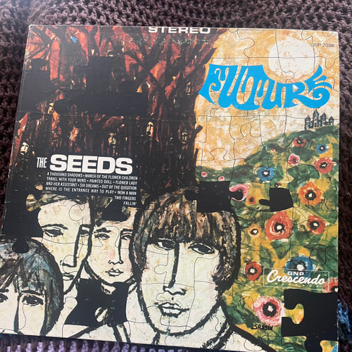 The Seeds - Future (1967 USA Stereo )