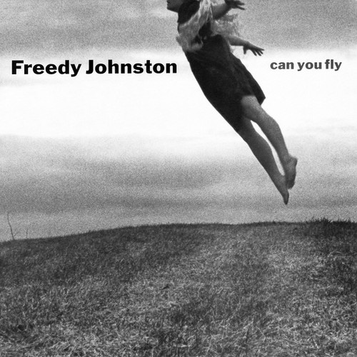 Freedy Johnston – Can You Fly (LP used UK 1992 NM/VG+)