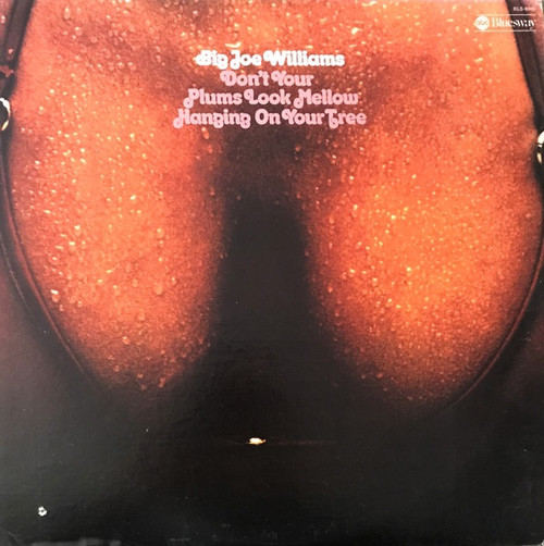 Big Joe Williams - Don't Your Plums Look Mellow Hanging On Your Tree (1974 USA EX/EX)