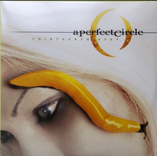 A Perfect Circle - Thirteenth Step