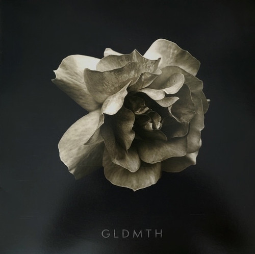 Ryan Guldemond - GLDMTH (2022 Gold Vinyl NM/NM)