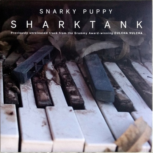 Snarky Puppy - Sharktank