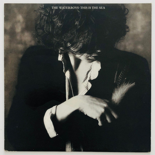 The Waterboys – This Is The Sea LP (EX / EX)