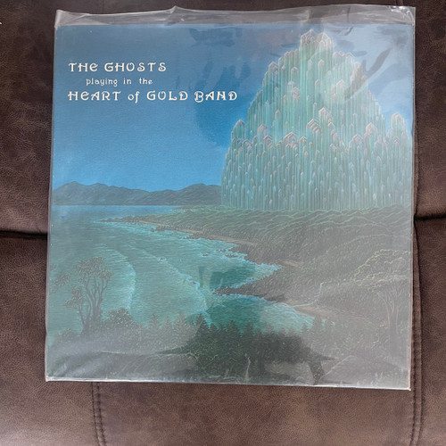 The Ghosts - Playing In The Heart Of Gold Band (EX/VG+)