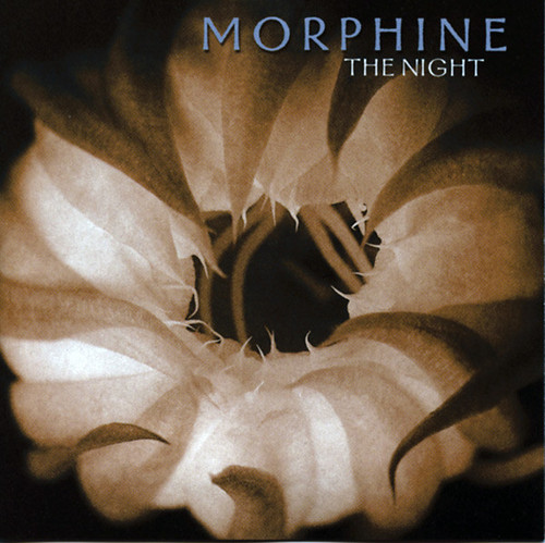 Morphine – The Night (CD used Canada 2000 NM/NM)