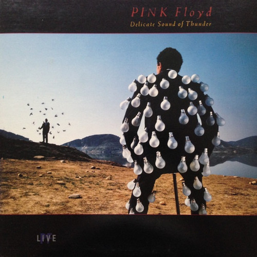 Pink Floyd — Delicate Sound of Thunder (US 1988, EX-/EX)