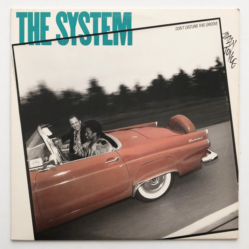 The System - Don't Disturb This Groove (EX / VG+)