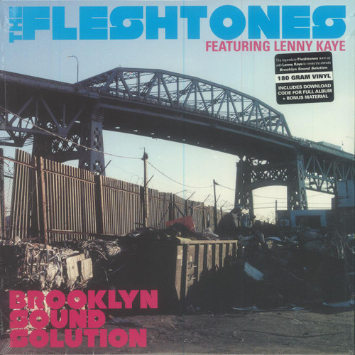The Fleshtones Featuring Lenny Kaye – Brooklyn Sound Solution (LP used US 2011 180 gm vinyl NM/NM)