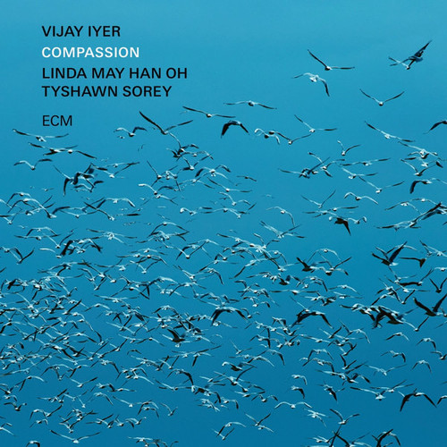 Vijay Iyer — Compassion (Germany 2024)
