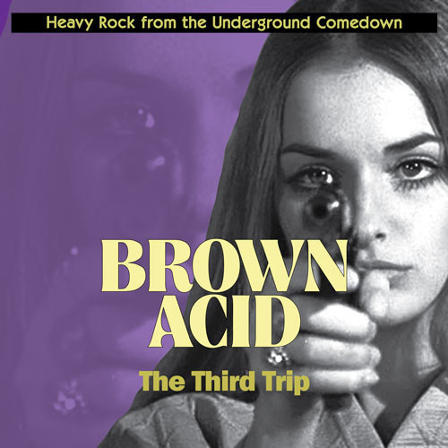 Various — Brown Acid: The Third Trip (US 2016, EX/EX)