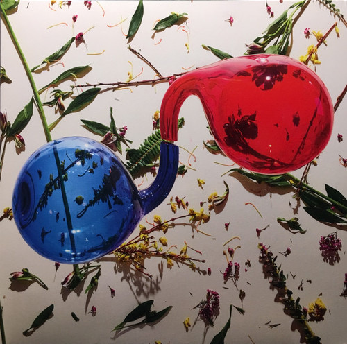 Dirty Projectors - Lamp Lit Prose (EX/EX) 2018