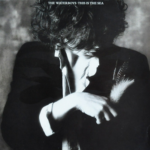 The Waterboys - This Is The Sea (1985 EX/VG+) - The Record Centre