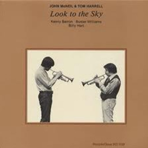 John McNeil - Look To The Sky