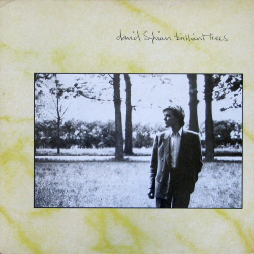 David Sylvian - Brilliant Trees (1984 CAN, VG+/EX) - The Record Centre