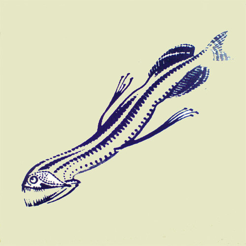 Aaron Dilloway — The Squid (US 2007, EX/EX)