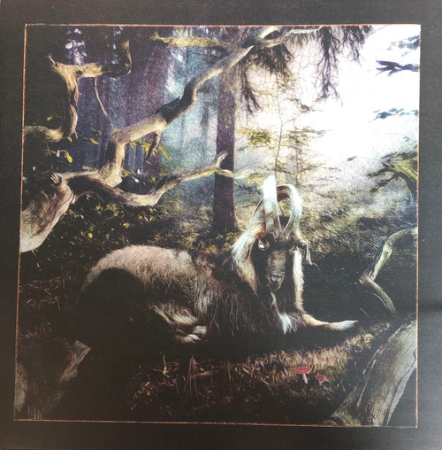 Earl Sweatshirt - Feet Of Clay (NM-/NM-) (2020, US) - Black Vinyl 