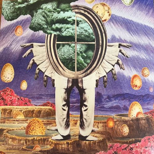 The Cosmic Range - The Gratitude Principle (2019 Canada - EX/EX)